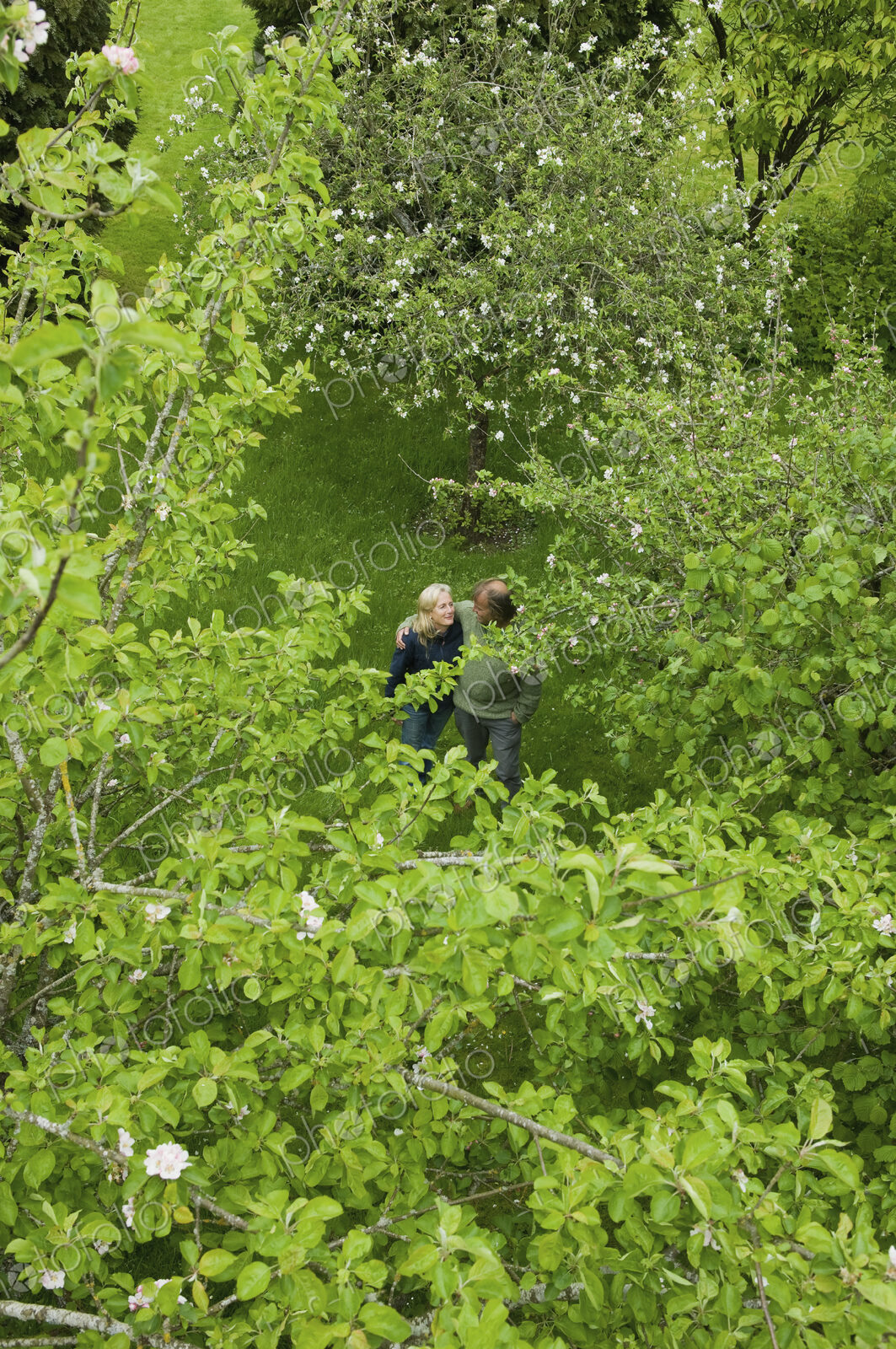 A couple viewed from a distance, strolling together in an orchard.