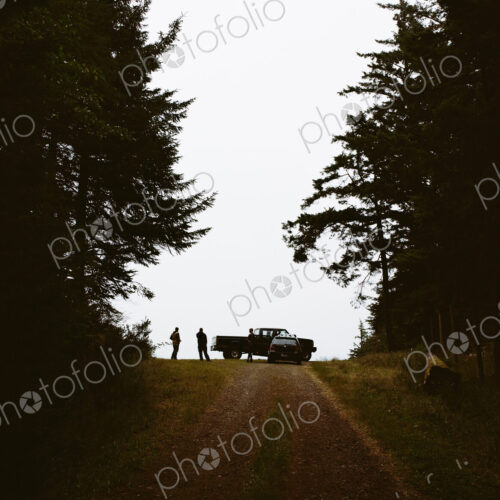 A cranberry farm in Massachusetts. A farm road with a vehicle parked at the top. Two… A cranberry farm in Massachusetts. A farm road with a vehicle parked at the top. Two…