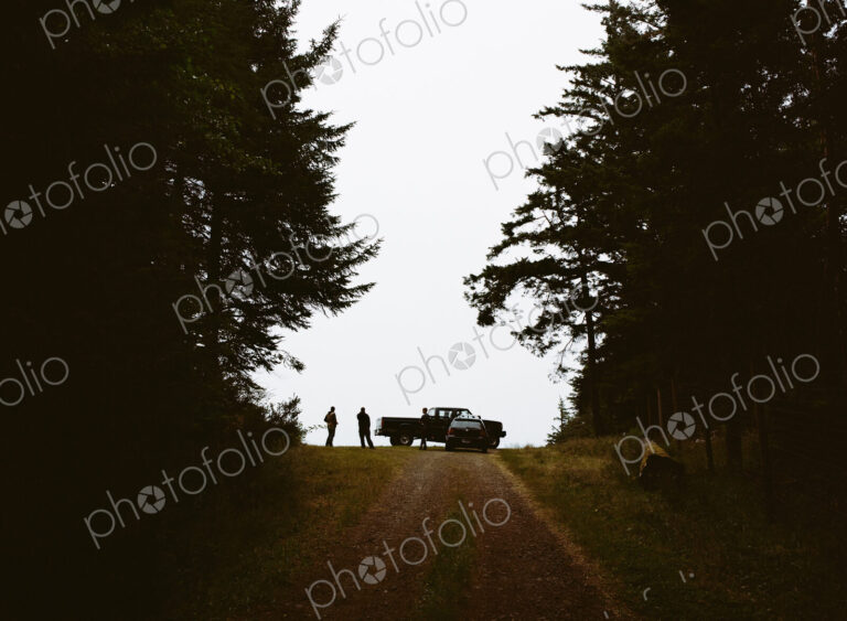 A cranberry farm in Massachusetts. A farm road with a vehicle parked at the top. Two…