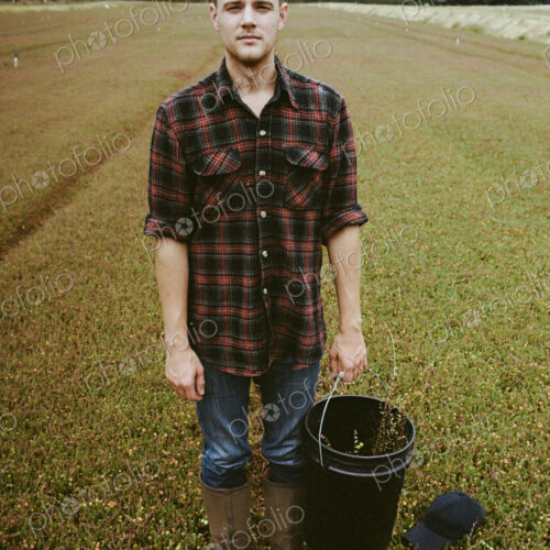 A cranberry farm in Massachusetts. Crops in the fields. A young man working on the… A cranberry farm in Massachusetts. Crops in the fields. A young man working on the…