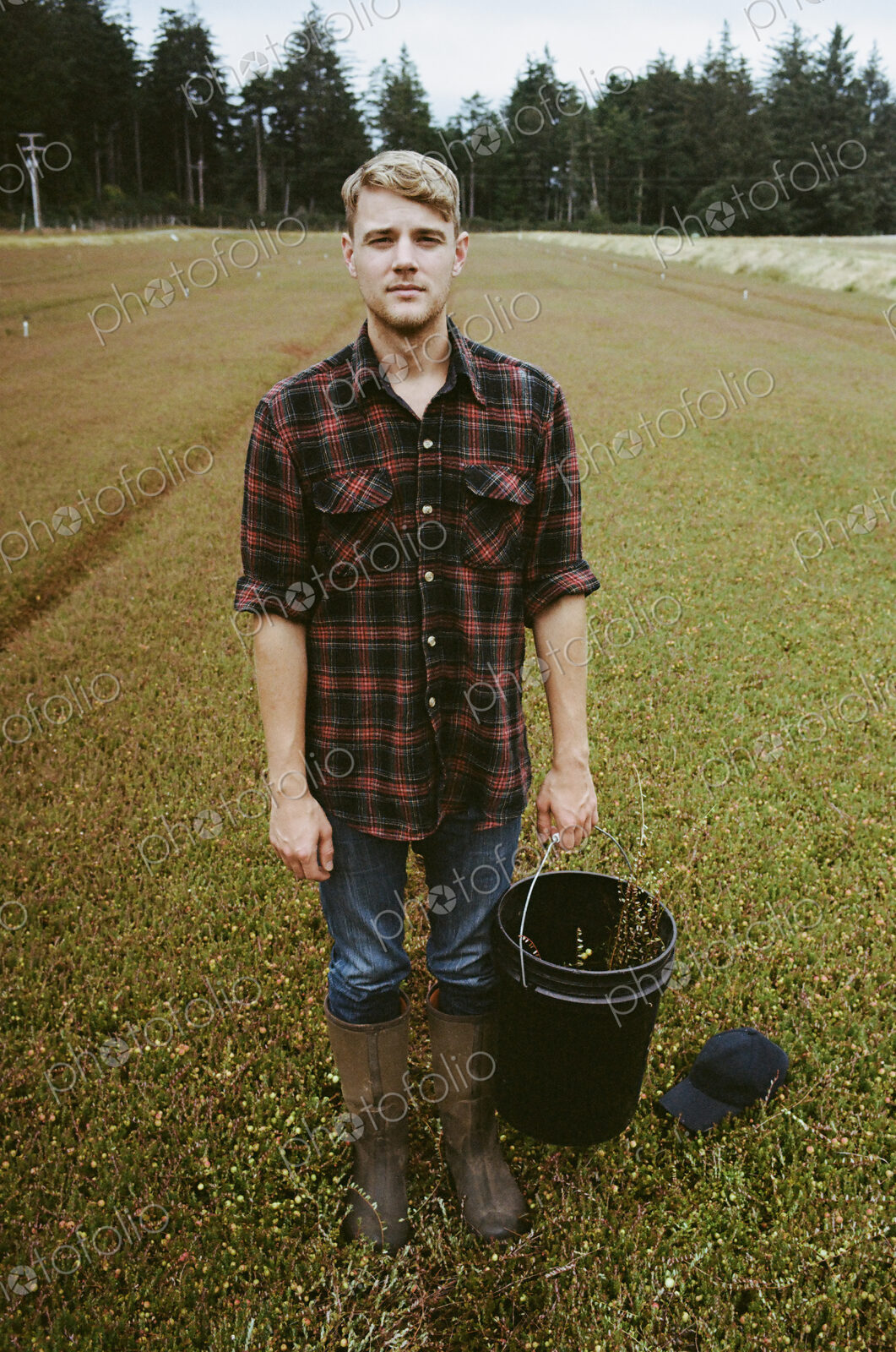 A cranberry farm in Massachusetts. Crops in the fields. A young man working on the…