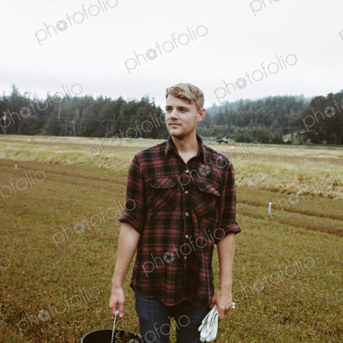A cranberry farm in Massachusetts. Crops in the fields. A young man working on the… A cranberry farm in Massachusetts. Crops in the fields. A young man working on the…