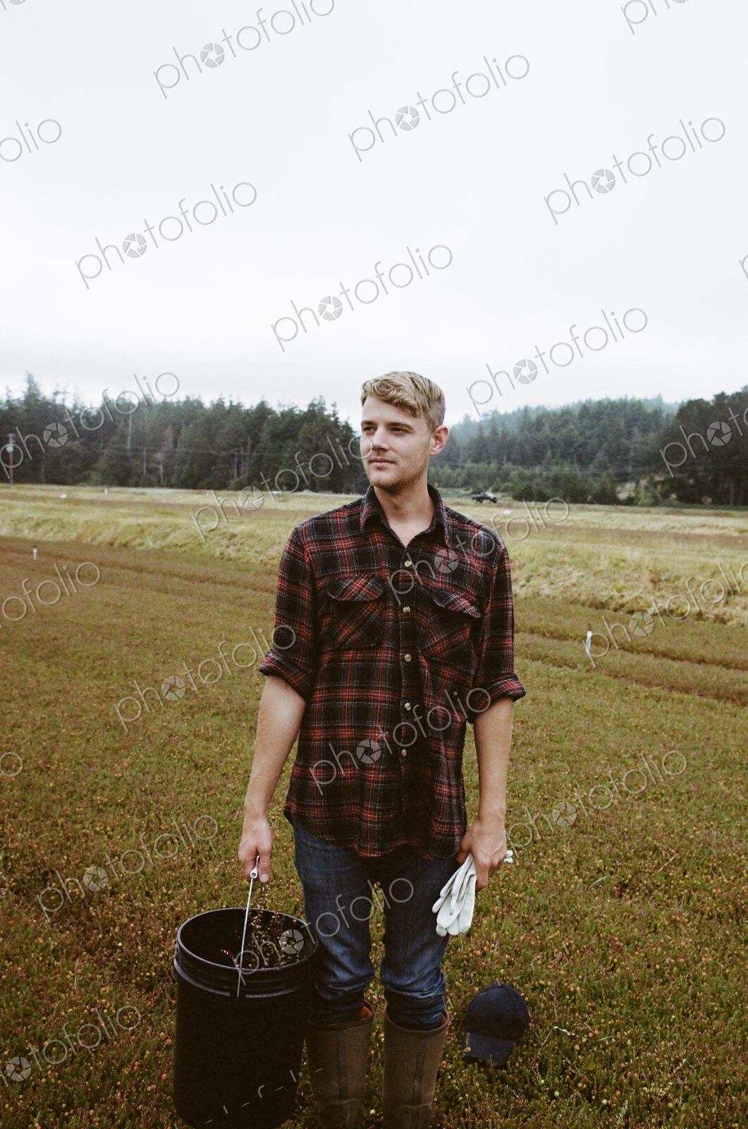A cranberry farm in Massachusetts. Crops in the fields. A young man working on the…