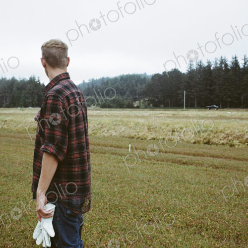 A cranberry farm in Massachusetts. Crops in the fields. A young man working on the… A cranberry farm in Massachusetts. Crops in the fields. A young man working on the…