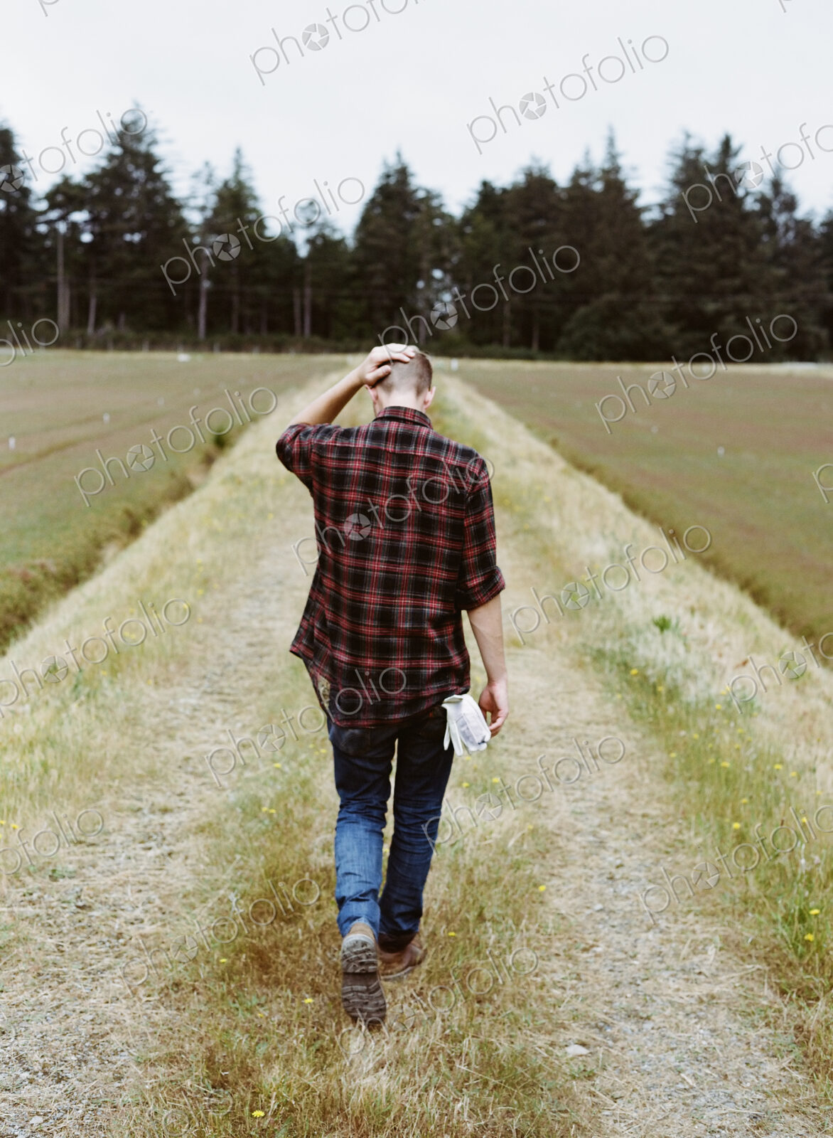 A cranberry farm in Massachusetts. Crops in the fields. A young man working on the…