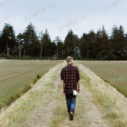 A cranberry farm in Massachusetts. Crops in the fields. A young man working on the… A cranberry farm in Massachusetts. Crops in the fields. A young man working on the…
