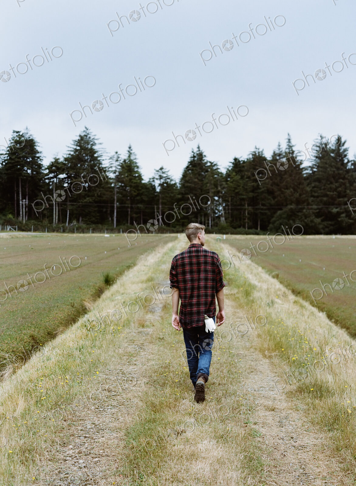 A cranberry farm in Massachusetts. Crops in the fields. A young man working on the…