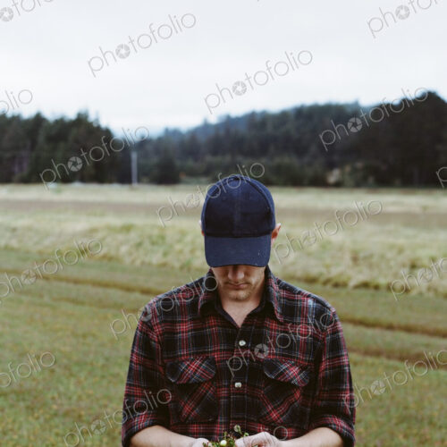 A cranberry farm in Massachusetts. Crops in the fields. A young man working on the… A cranberry farm in Massachusetts. Crops in the fields. A young man working on the…