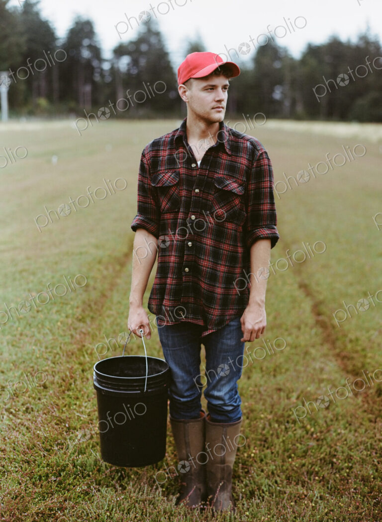 A cranberry farm in Massachusetts. Crops in the fields. A young man working on the…