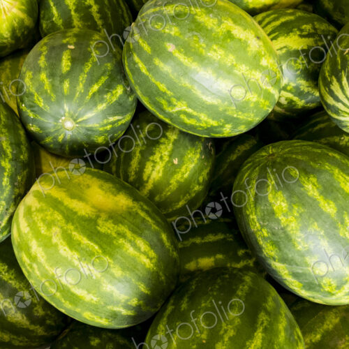 A crate of green and yellow water melons, Citrullus lanatus. A crate of green and yellow water melons, Citrullus lanatus.