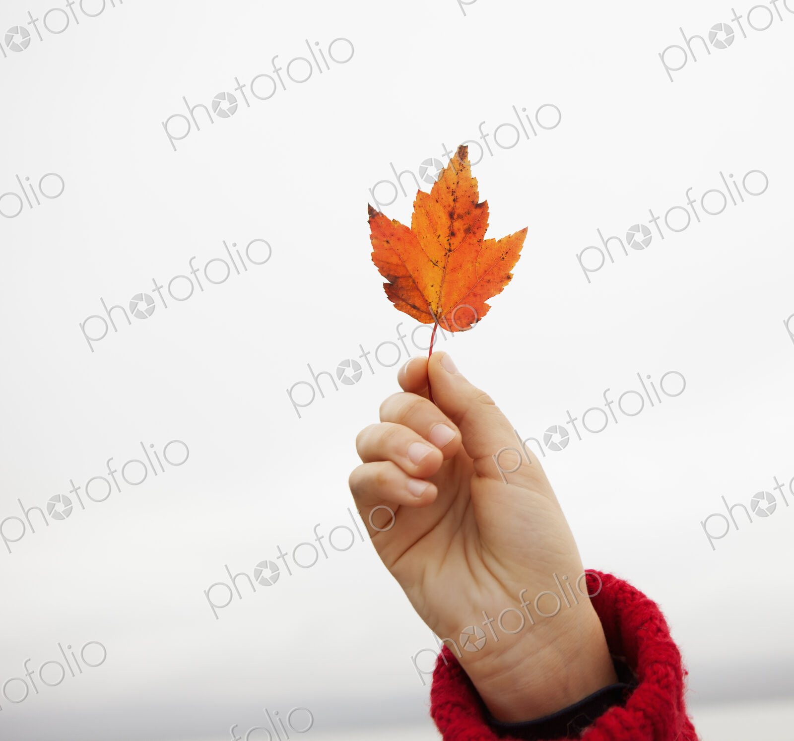 A day out at Ashokan lake. A young girl in a red winter knitted jumper holding up a…