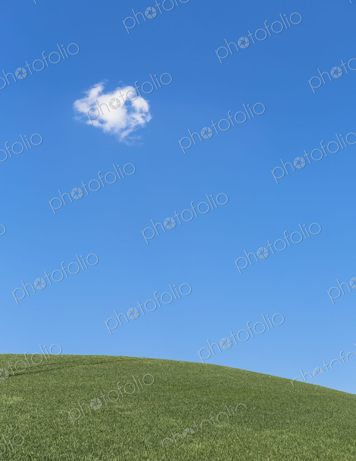 A delicate small cloud high in the sky over field of lush, green wheat, near Pullman.