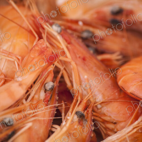 A dish of freshly cooked prawns with shells, heads and tails on. Seafood.
