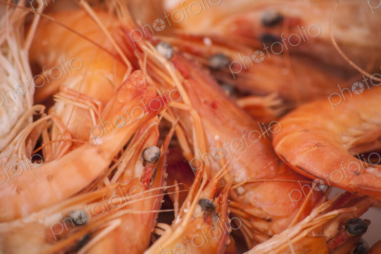 A dish of freshly cooked prawns with shells, heads and tails on. Seafood.