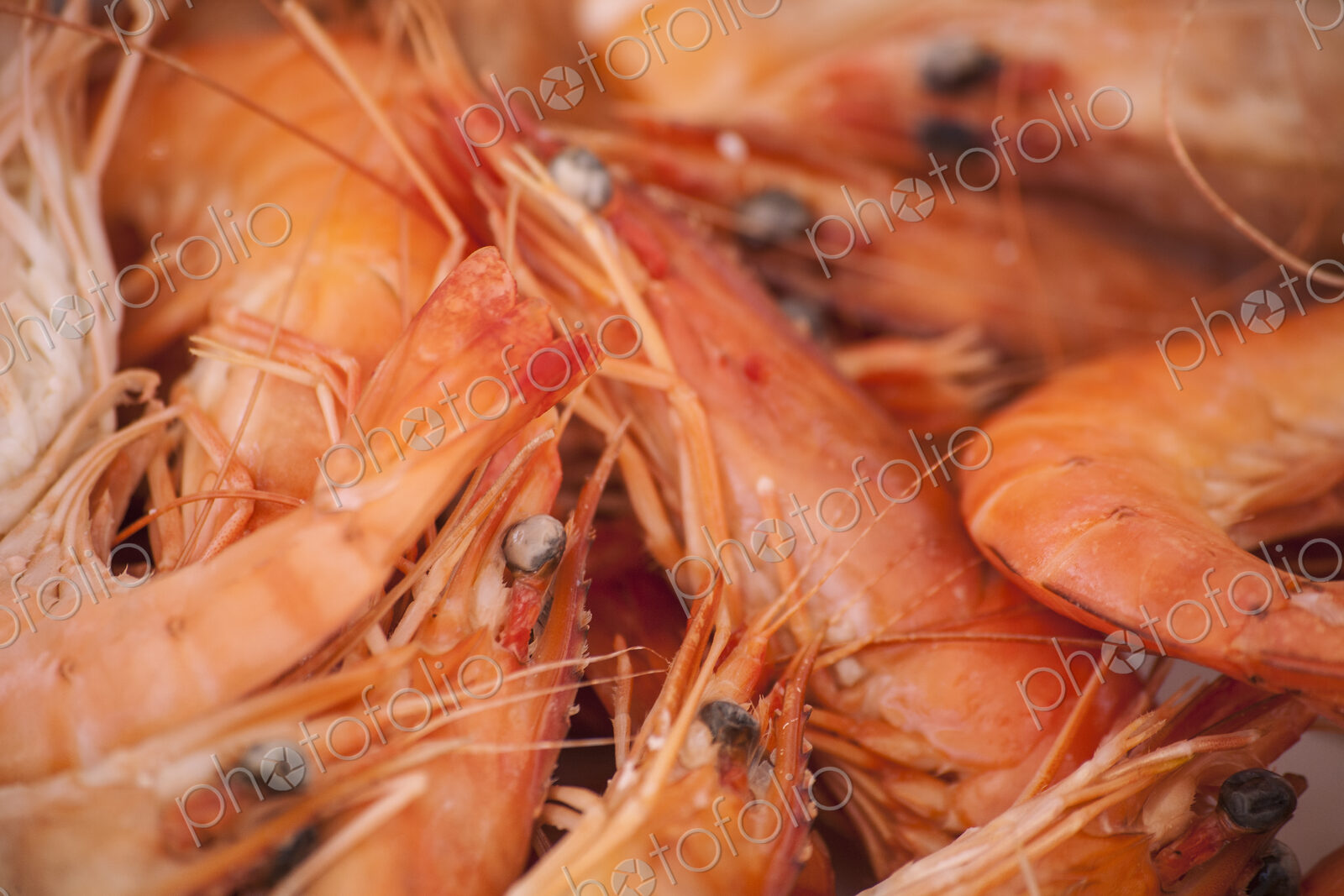 A dish of freshly cooked prawns with shells, heads and tails on. Seafood.