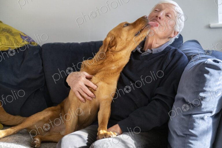A dog on a sofa enthusiastically licking the face of a senior man,