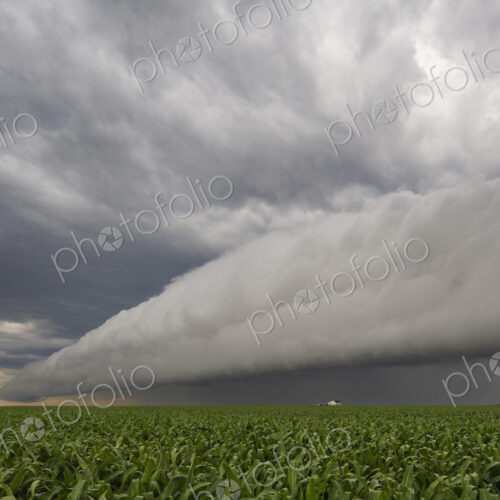 A dramatic horizontal roll cloud, formed when a downdraft pushes cold air ahead of it,… A dramatic horizontal roll cloud, formed when a downdraft pushes cold air ahead of it,…