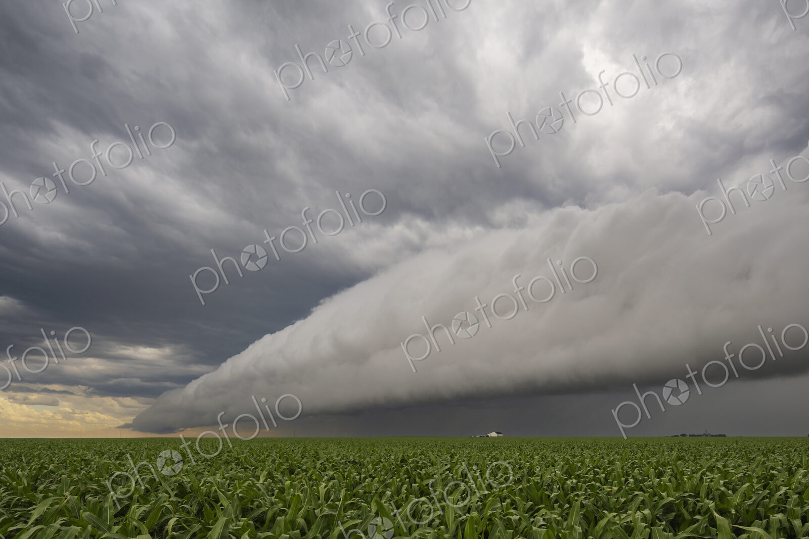 A dramatic horizontal roll cloud, formed when a downdraft pushes cold air ahead of it,…