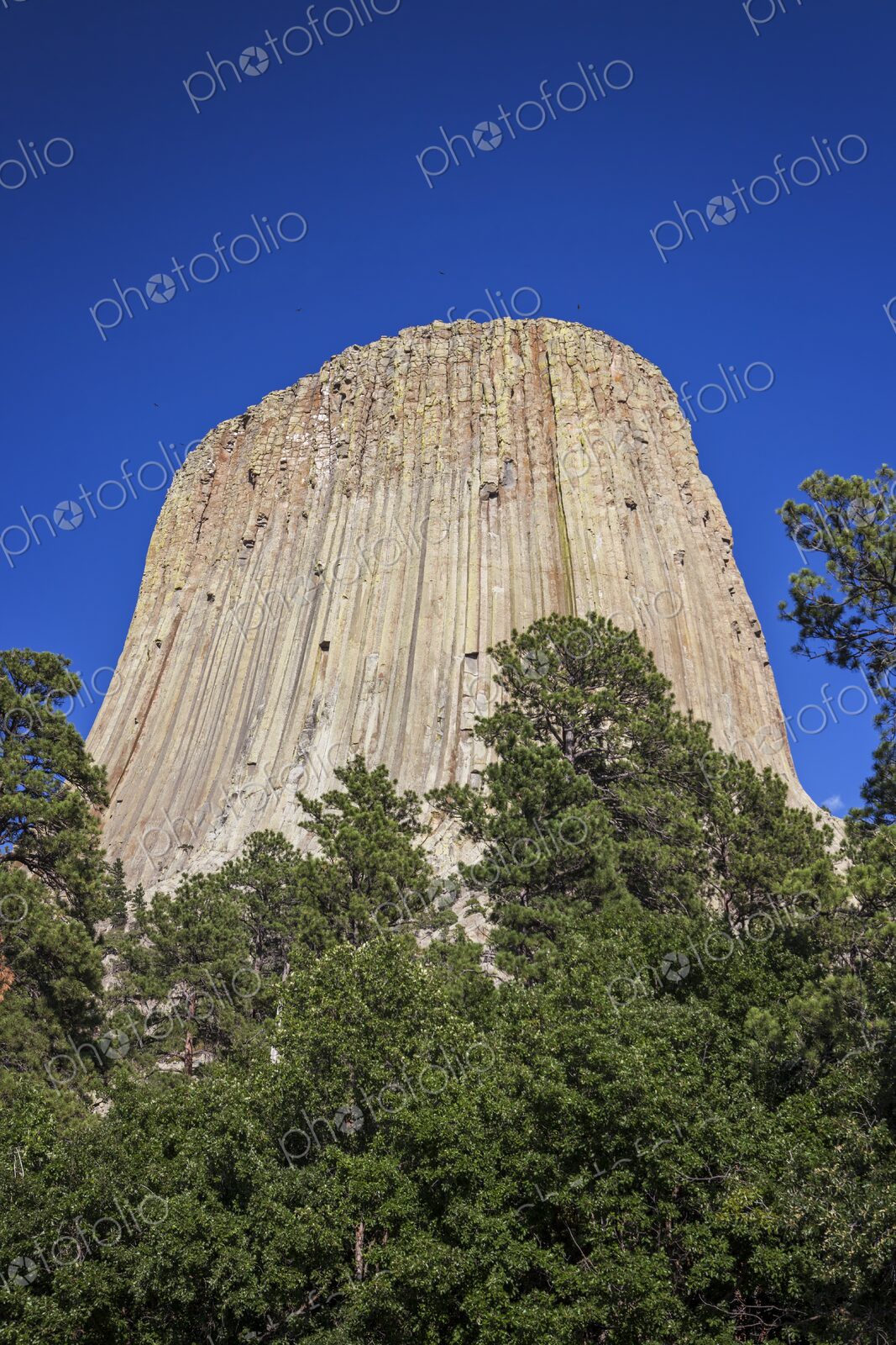 A dramatic view of Devil’s Tower rising above the forest in Wyoming, showcasing its…