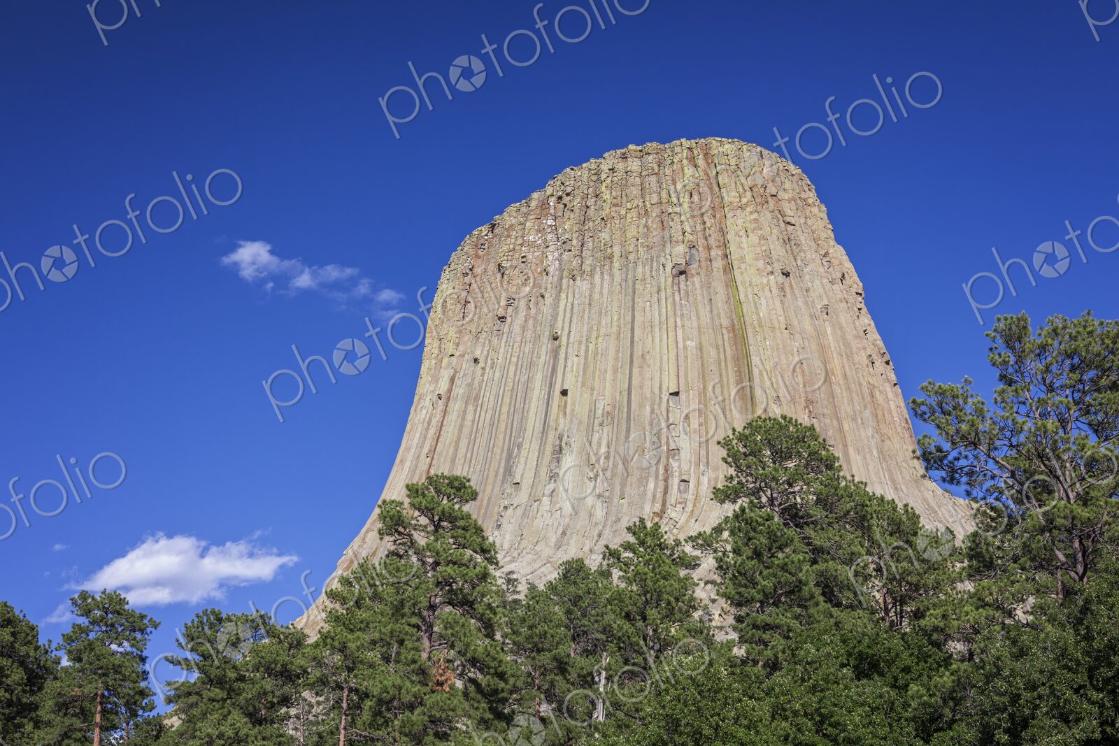 A dramatic view of Devil’s Tower rising above the forest in Wyoming, showcasing its…