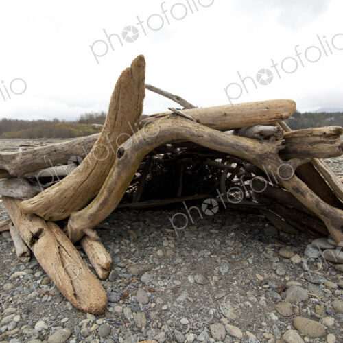 A driftwood den on the beach, made from logs worn smooth by the water and washed up on…
