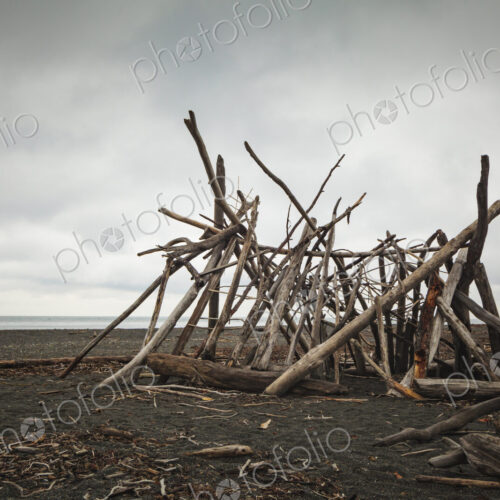 A driftwood framework on the beach, smooth logs for a shelter.