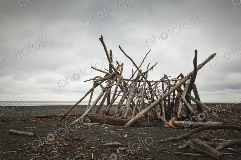 A driftwood framework on the beach, smooth logs for a shelter.