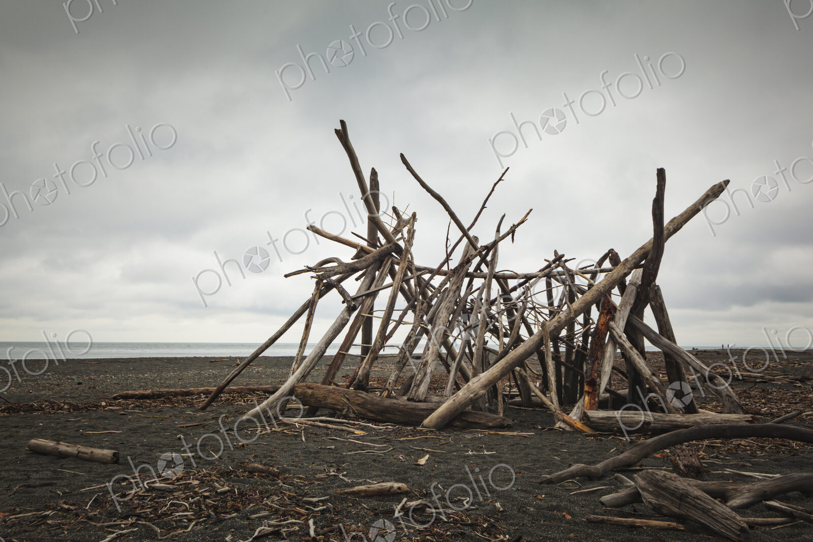 A driftwood framework on the beach, smooth logs for a shelter.