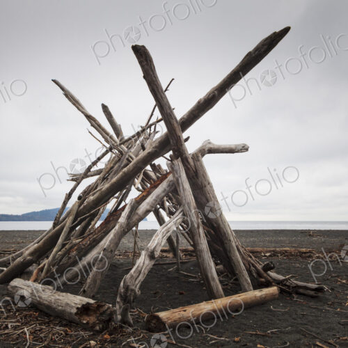 A driftwood framework on the beach, smooth logs for a shelter.