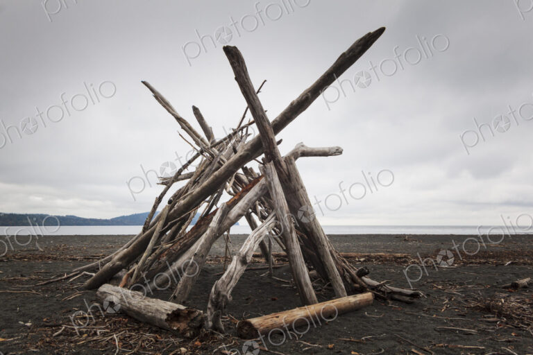 A driftwood framework on the beach, smooth logs for a shelter.