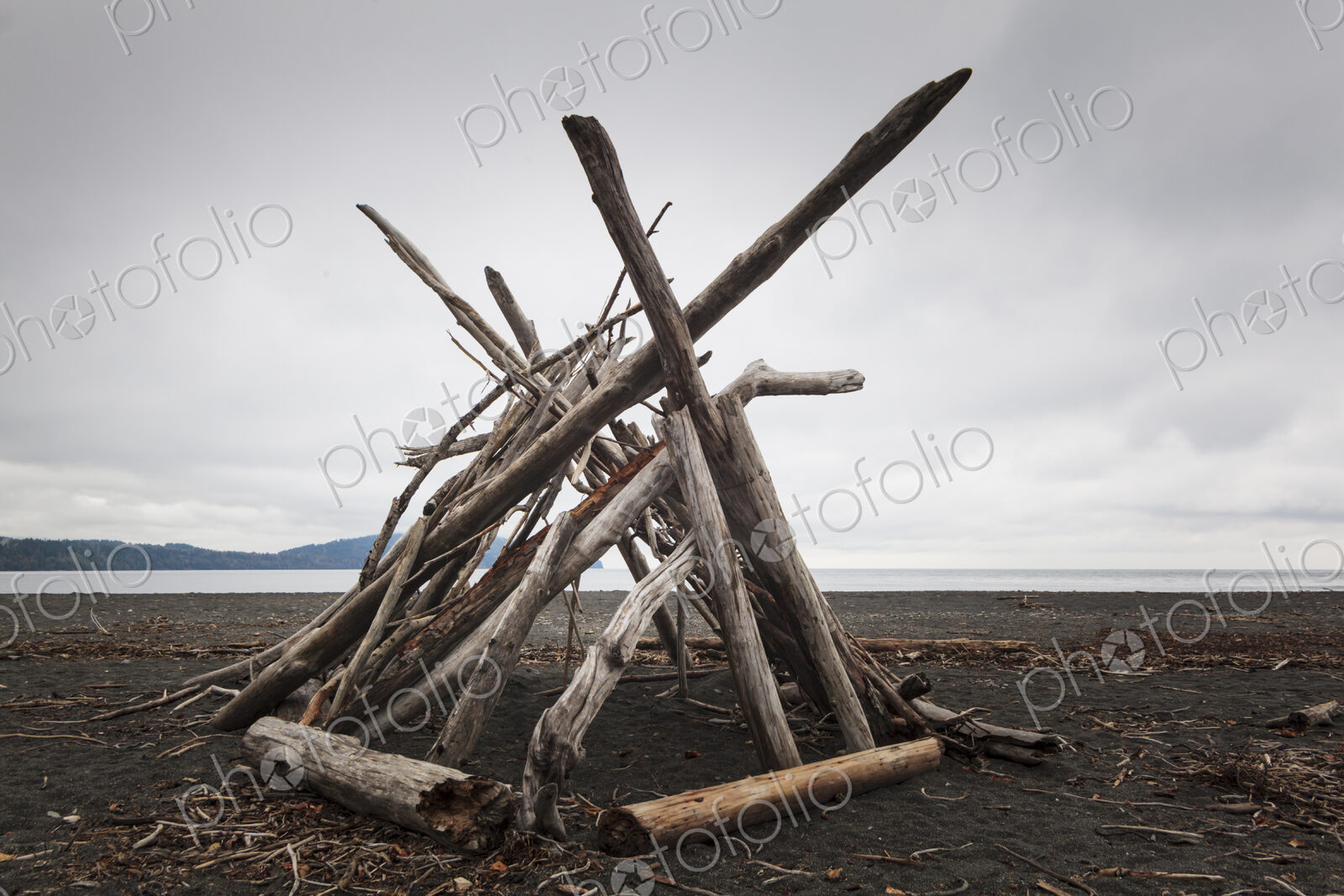 A driftwood framework on the beach, smooth logs for a shelter.