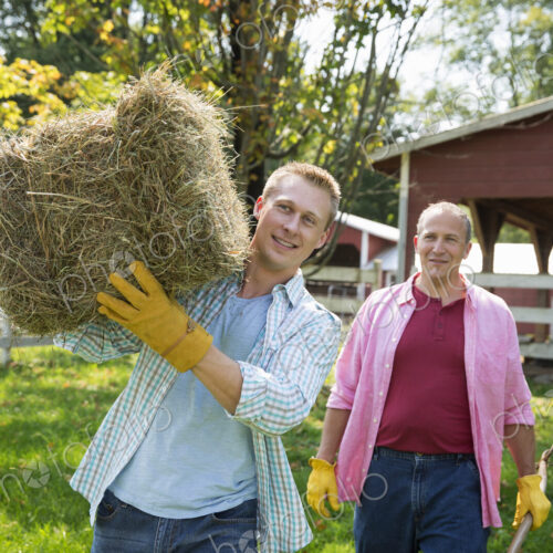 A family summer gathering at a farm. A shared meal, a homecoming. A family summer gathering at a farm. A shared meal, a homecoming.