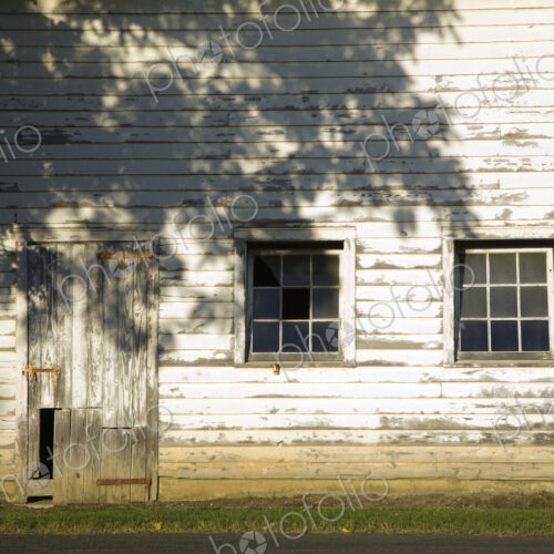 A farm, an old building, with peeling wood cladding,m windows andthe shadow of a large…