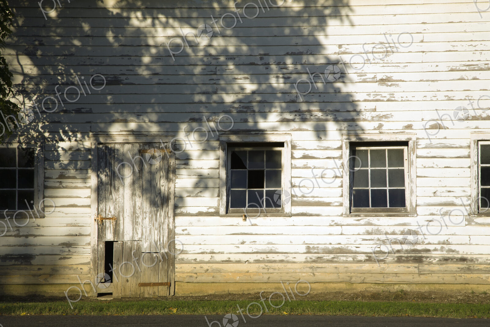 A farm, an old building, with peeling wood cladding,m windows andthe shadow of a large…