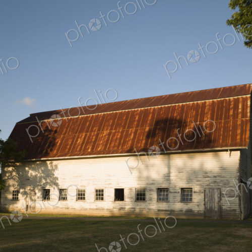 A farm building, red rusty roof and shingle walls, and rows of window set low in the wall. A farm building, red rusty roof and shingle walls, and rows of window set low in the wall.