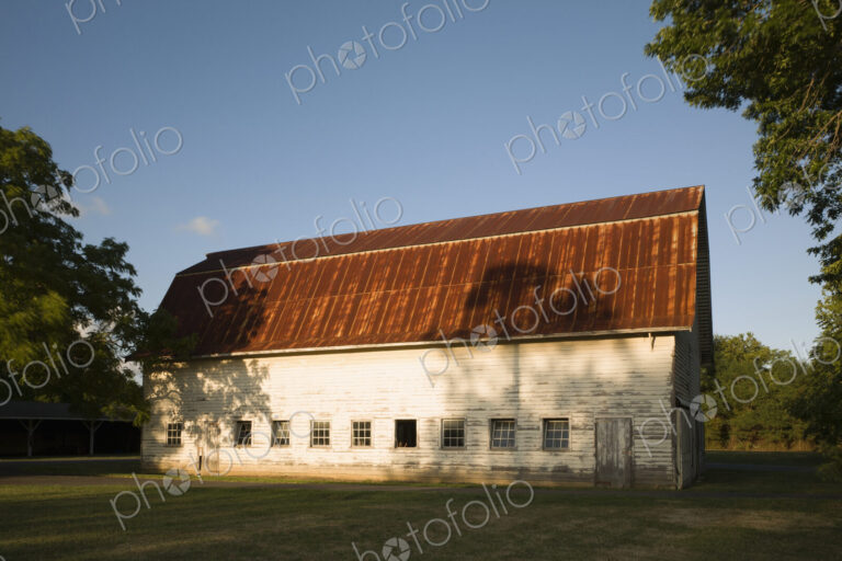 A farm building, red rusty roof and shingle walls, and rows of window set low in the wall.