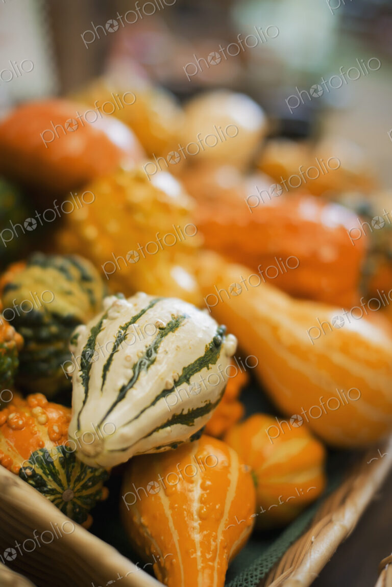 A farm stand, with a display of goudes and squash of different shapes and sizes.