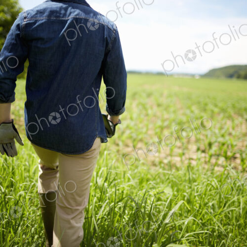 A farmer working in his fields in New York State, USA. A farmer working in his fields in New York State, USA.