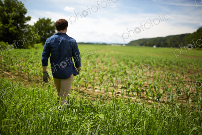 A farmer working in his fields in New York State, USA.