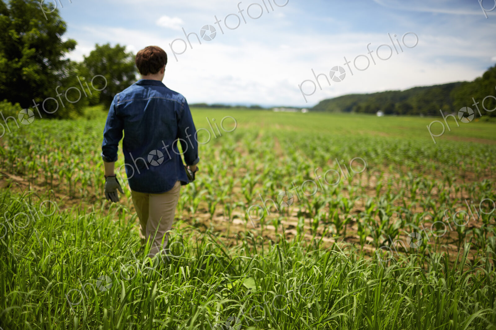 A farmer working in his fields in New York State, USA.