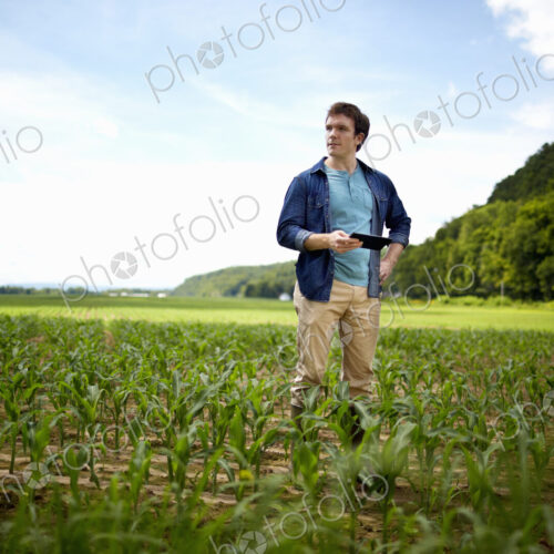 A farmer working in his fields in New York State, USA. A farmer working in his fields in New York State, USA.