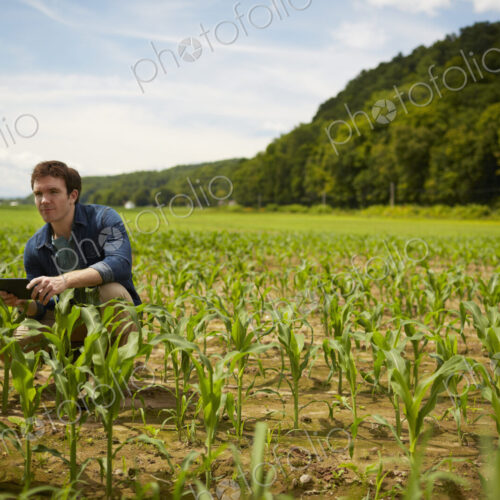 A farmer working in his fields in New York State, USA. A farmer working in his fields in New York State, USA.