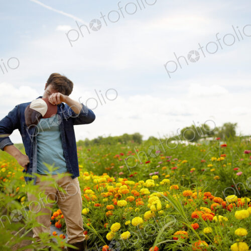A farmer working in his fields in New York State. A yellow and orange organically… A farmer working in his fields in New York State. A yellow and orange organically…