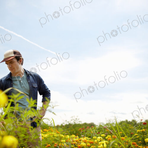 A farmer working in his fields in New York State. A yellow and orange organically… A farmer working in his fields in New York State. A yellow and orange organically…