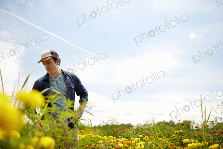 A farmer working in his fields in New York State. A yellow and orange organically…