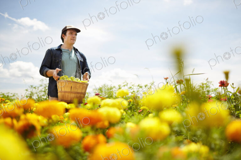 A farmer working in his fields in New York State. A yellow and orange organically…
