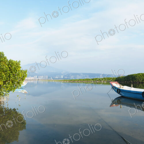 A fishing boat floating on the shallow waters in the mangrove swamp.
