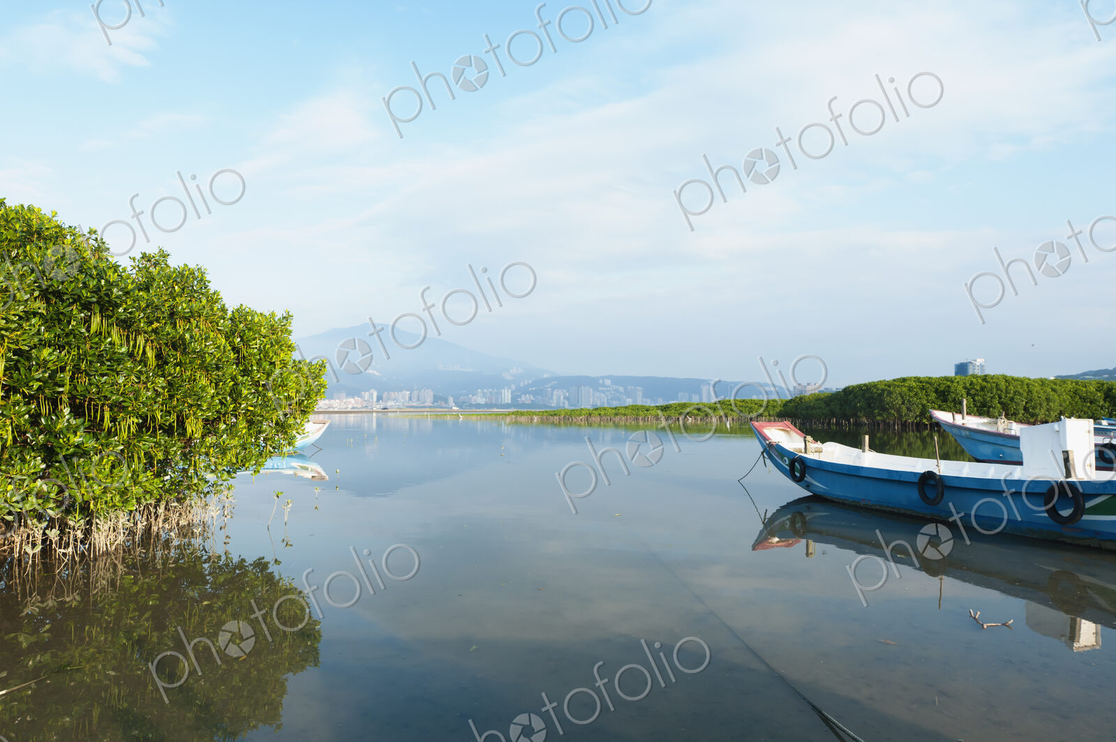 A fishing boat floating on the shallow waters in the mangrove swamp.