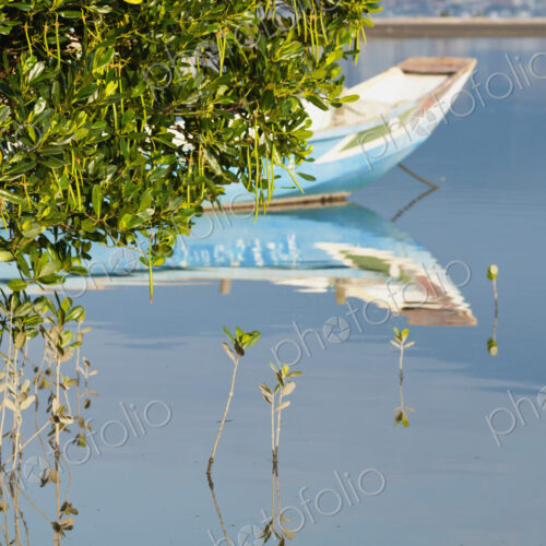 A fishing boat floating on the shallow waters in the mangrove swamp.