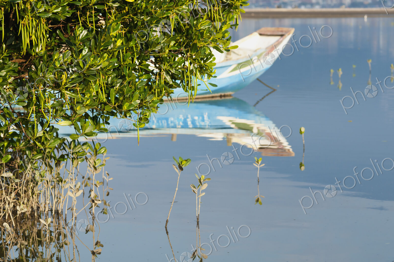 A fishing boat floating on the shallow waters in the mangrove swamp.